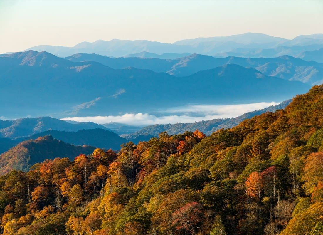 Sparta, NC - Vibrant Early Morning Autumn in the Great Smoky Mountains National Park